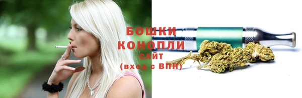 МДПВ Волоколамск